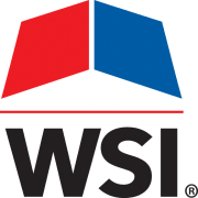 WSI logo